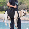 ComfortFit Pet Support Harness - Adjustable Lifting Sling for Elderly, Disabled, and Rehabilitative Exercise - Stair Assistance, Health & Beauty Care Accessory for Senior Dogs, Arthritis, and Post-Surgery Recovery
