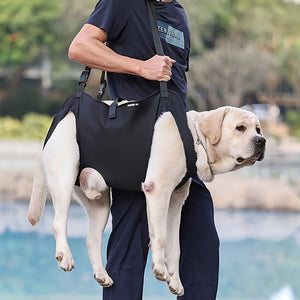 ComfortFit Pet Support Harness - Adjustable Lifting Sling for Elderly, Disabled, and Rehabilitative Exercise - Stair Assistance, Health & Beauty Care Accessory for Senior Dogs, Arthritis, and Post-Surgery Recovery