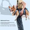ComfortFit Pet Support Harness - Adjustable Lifting Sling for Elderly, Disabled, and Rehabilitative Exercise - Stair Assistance, Health & Beauty Care Accessory for Senior Dogs, Arthritis, and Post-Surgery Recovery
