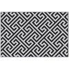 DodiOnline 121 x 182 cm(4x6ft) Outdoor Rug Reversible Mat Plastic Straw Rug Portable RV Camping Mat for Garden Deck Picnic Indoor, Black & White