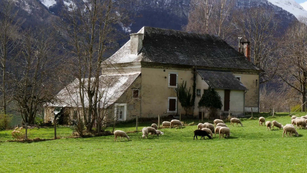 100% Wool Blanket, Warm, Thick, Washable, Military Wool Blanket, Great For Camping, Outdoors, Sporting Events, Survival Kits