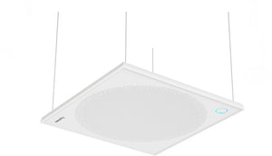 Nearity A50 Full Duplex Ceiling Mic
