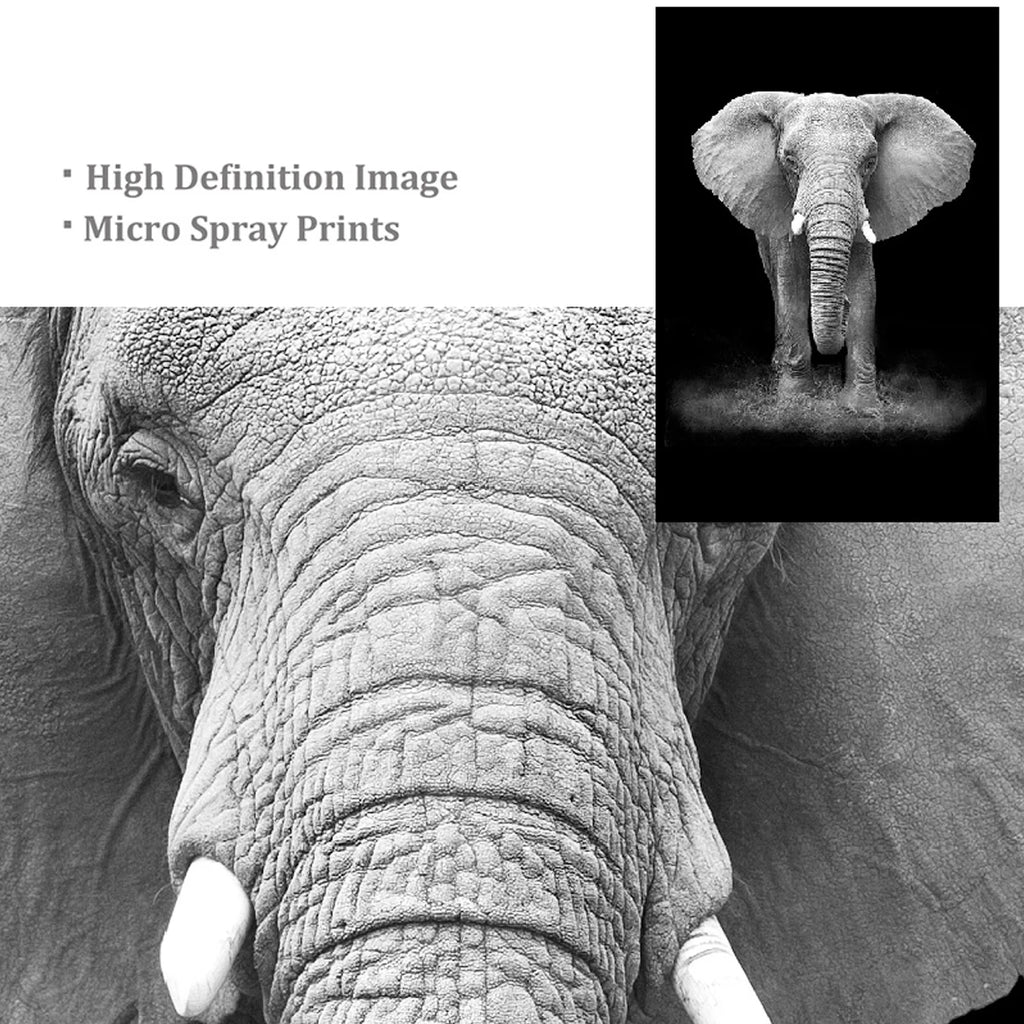 Golden Geometric Circle Canvas Poster Abstract Print Picture Wall Art Home Decor