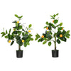 DodiOnline Set of 2 Artificial Plants, Lemon and Orange Tree with Pot, for Home Indoor Decor, 60cm