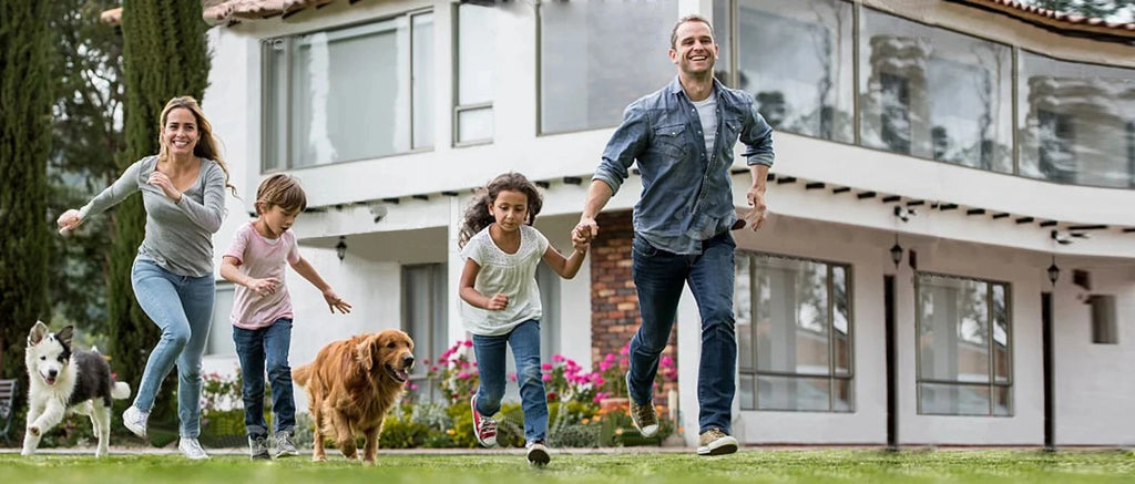 [New Edition] Dog Shock Collar with Remote -Dog Training Collar for Large Medium Small Dogs Waterproof Rechargeable E Collar wit