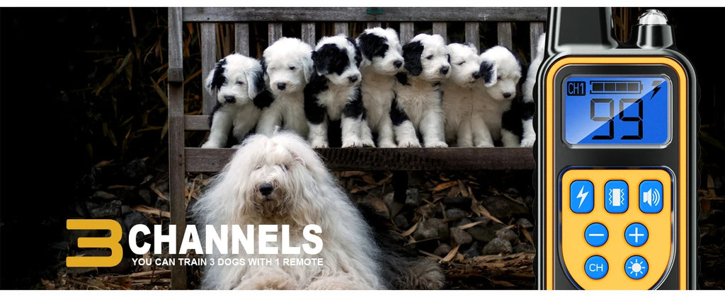 [New Edition] Dog Shock Collar with Remote -Dog Training Collar for Large Medium Small Dogs Waterproof Rechargeable E Collar wit