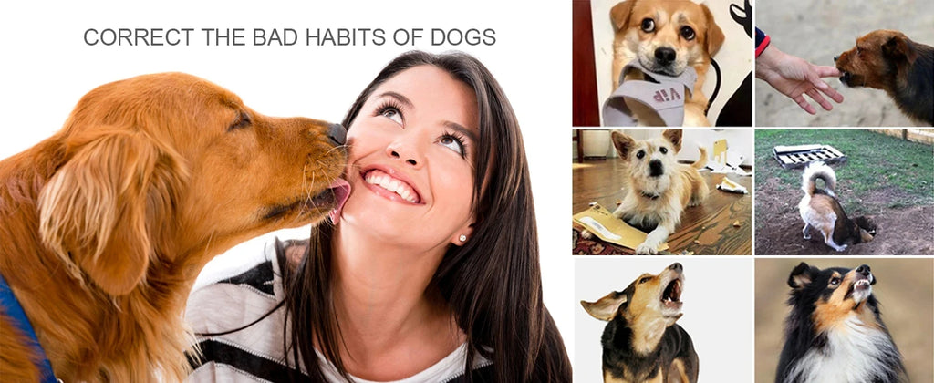 [New Edition] Dog Shock Collar with Remote -Dog Training Collar for Large Medium Small Dogs Waterproof Rechargeable E Collar wit