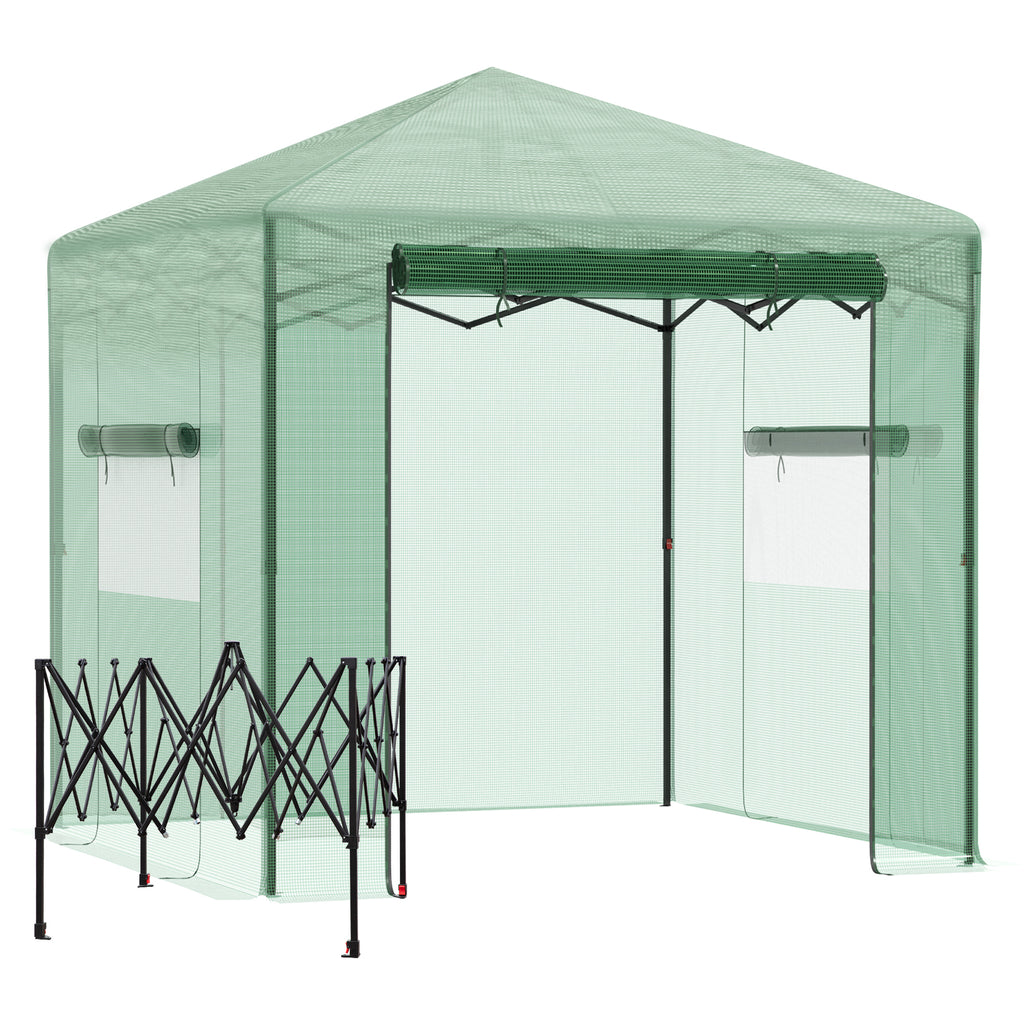 DodiOnline Pop-up Small Greenhouse, Outdoor Walk-in Tomato Greenhouse with Carrying Bag, PE Cover, Steel Frame, Green, 2.4L x 1.8W x 2.4H m
