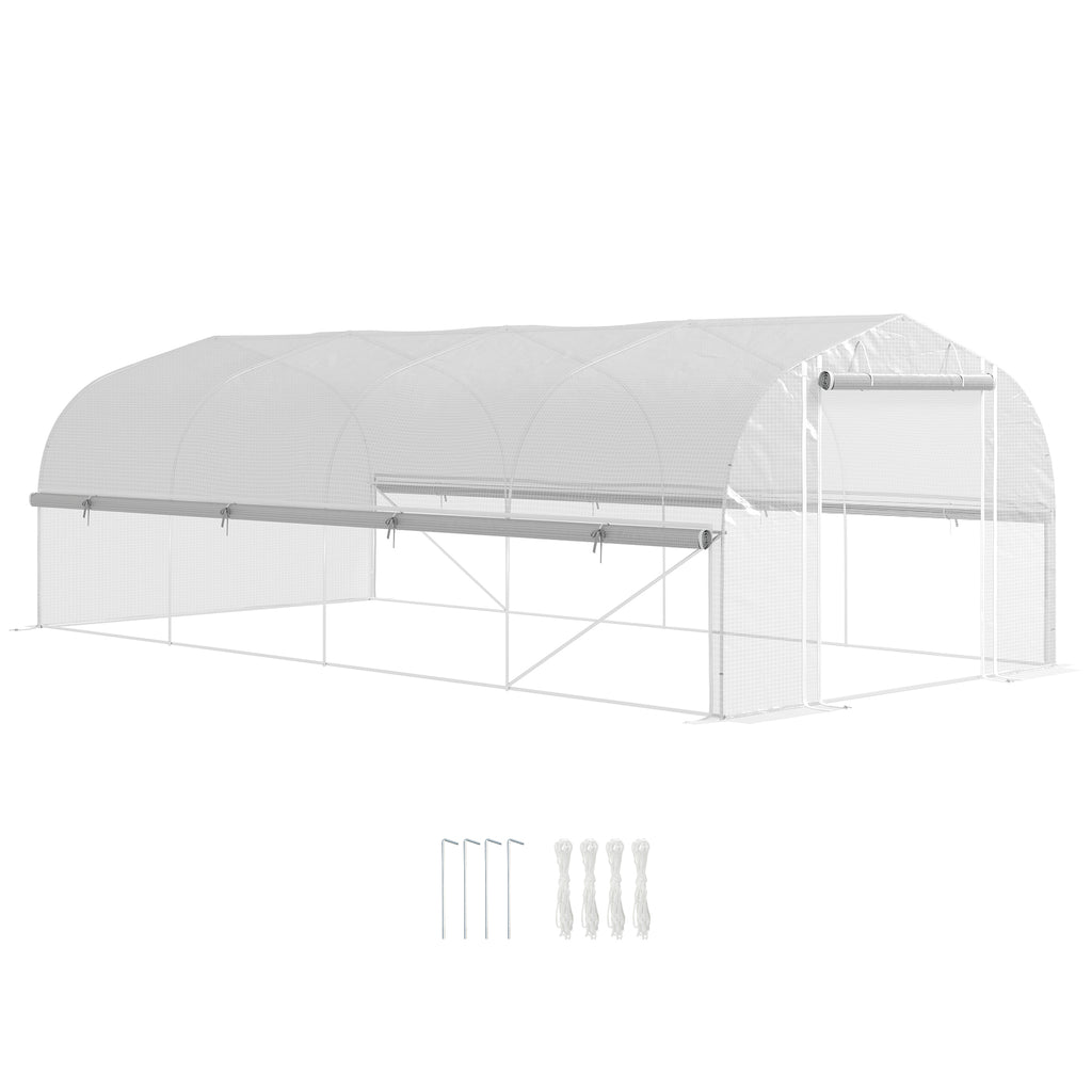 DodiOnline 6 x 3 x 2m Walk-in Polytunnel Greenhouse, Zipped Roll Up Sidewalls, Mesh Door, 8 Mesh Windows, Tunnel Warm House Tent with PE Cover, Complimentary Plant Labels and Gloves, White