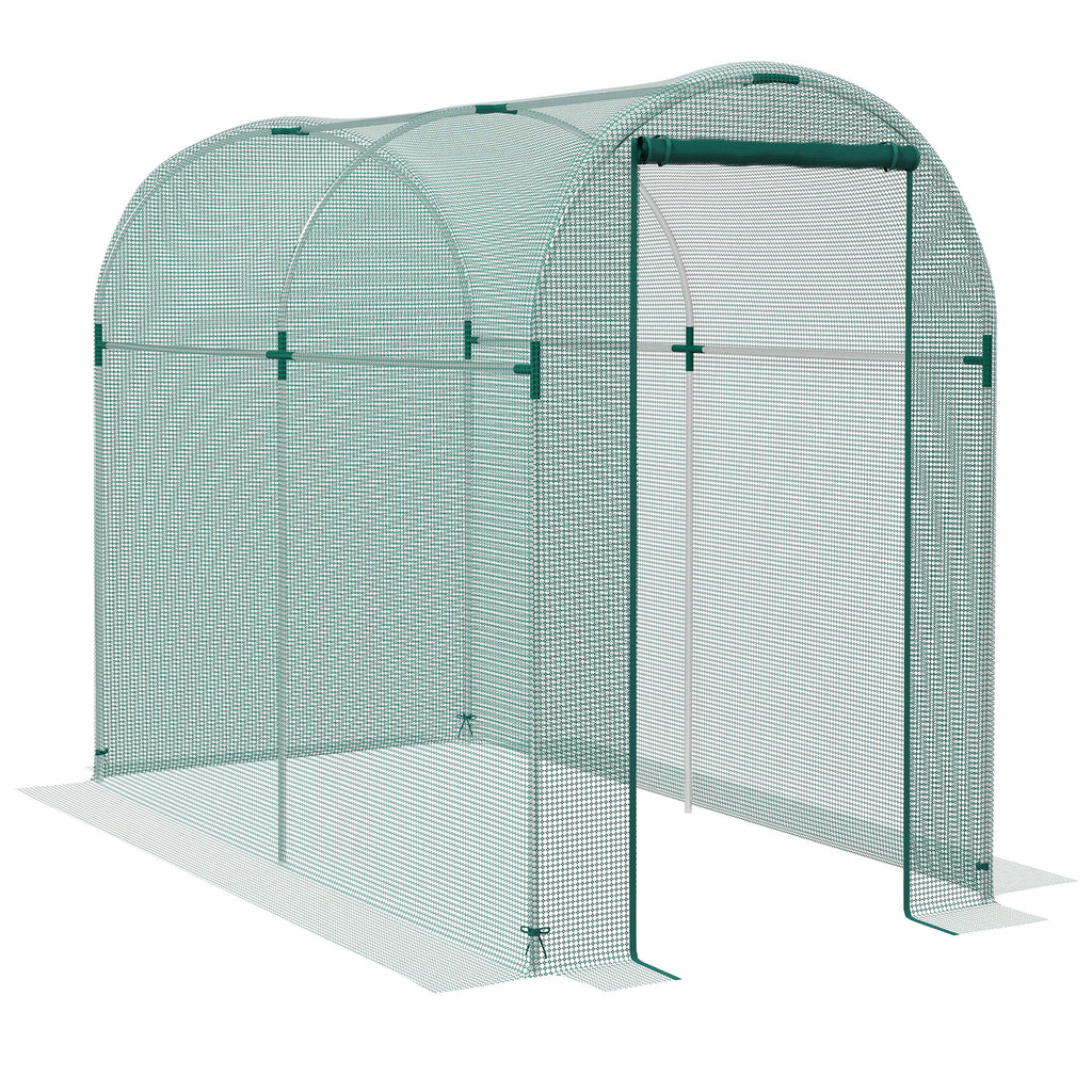 DodiOnline 240 x 120cm Mini Polytunnel Greenhouse